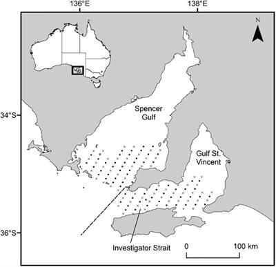 Discriminating Natal Source Populations of a Temperate Marine Fish Using Larval Otolith Chemistry